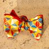 arlequin