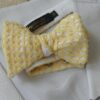 image nœud papillon guipure jaune